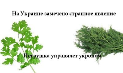 Прикрепленное изображение: LvMPa7Ri6Do.jpg